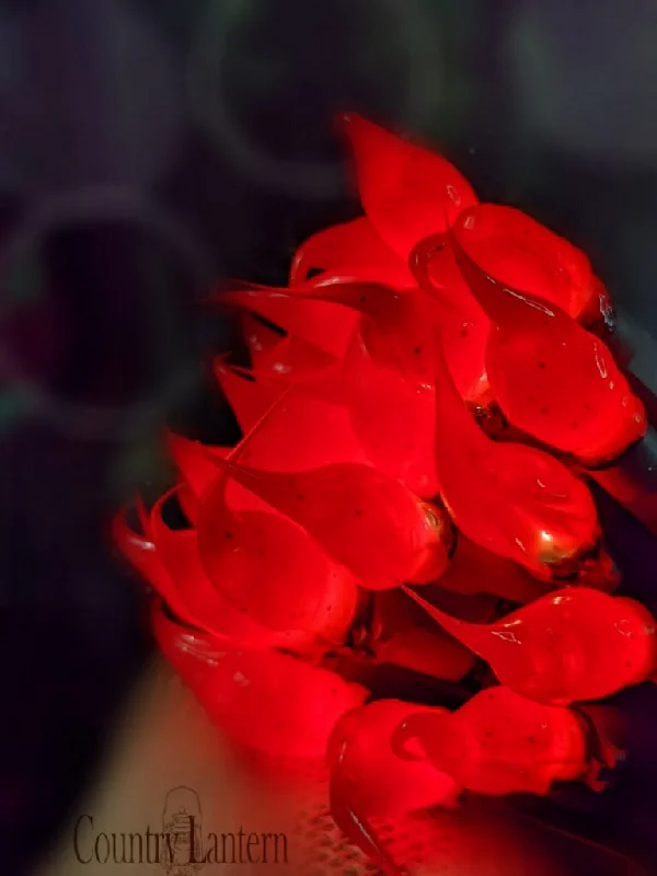Burnt Red