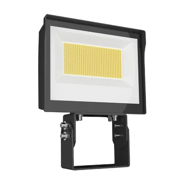 Shock - Resistant Industrial Lighting for Vibrating Machinery AreasRAB X17 Flood Light, 2-Way Field-Adjustable, Trunnion Mount Shock - Resistant Industrial Lighting for Vibrating Machinery AreasRAB X17 Flood Light, 2-Way Field-Adjustable, Trunnion Mount