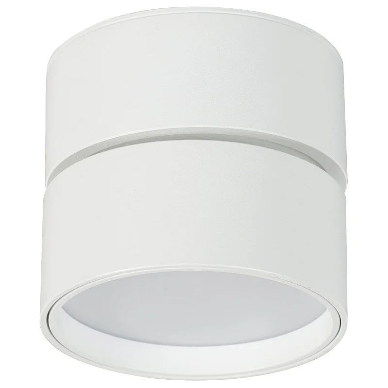 Industrial Lighting for Textile MillsDiaz 12W Tri-Colour Surface Mount Downlight