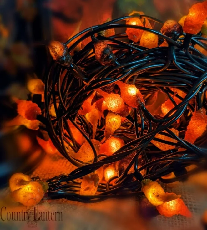 Fall Leaves