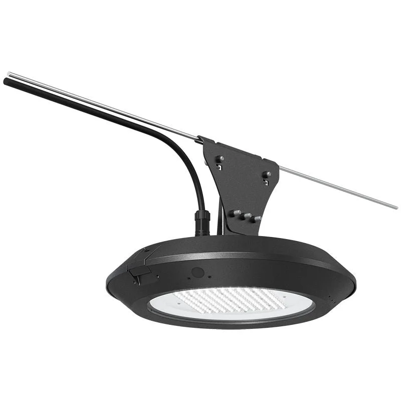 String Lights with Clear Bulbs for a Classic LookWestgate GPX-22-75W-MCTP-CAT Multi-Power & CCT Post Disk Light with Catenary Suspension Adapter - Bronze String Lights with Clear Bulbs for a Classic LookWestgate GPX-22-75W-MCTP-CAT Multi-Power & CCT Post Disk Light with Catenary Suspension Adapter - Bronze