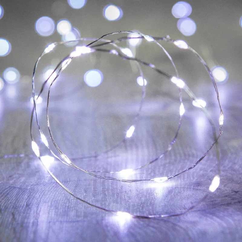 String Lights for Camping Trips20 White LED Micro Battery Fairy Lights