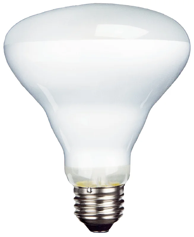 Adjustable Industrial Lighting for Flexible IlluminationGood Life LED Filament BR30 Lamp - 4.6", 8W, 27K-18K Adjustable Industrial Lighting for Flexible IlluminationGood Life LED Filament BR30 Lamp - 4.6", 8W, 27K-18K