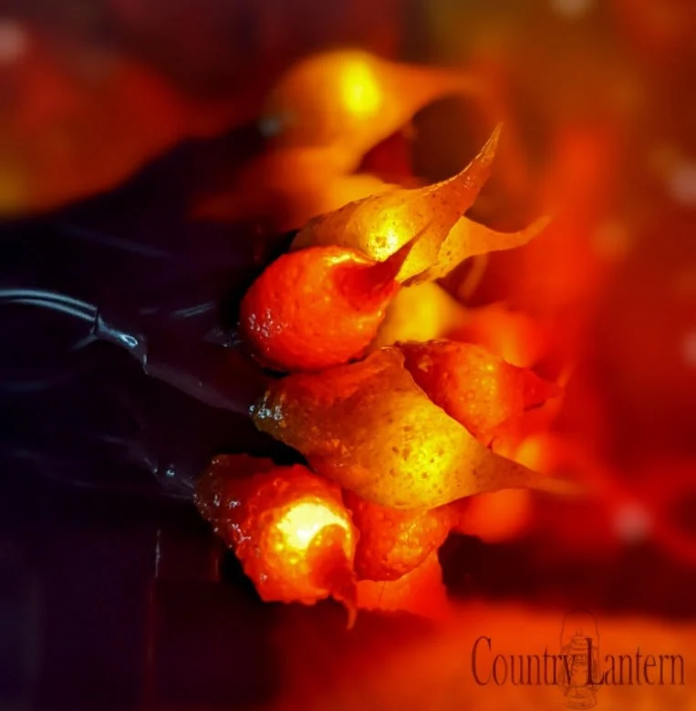 Fireside