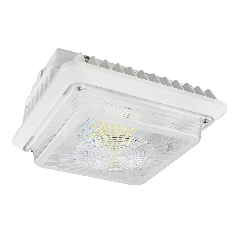 String Lights for Hotel Courtyard LightingWestgate CGL-100W-40K LED Garage/Canopy Light