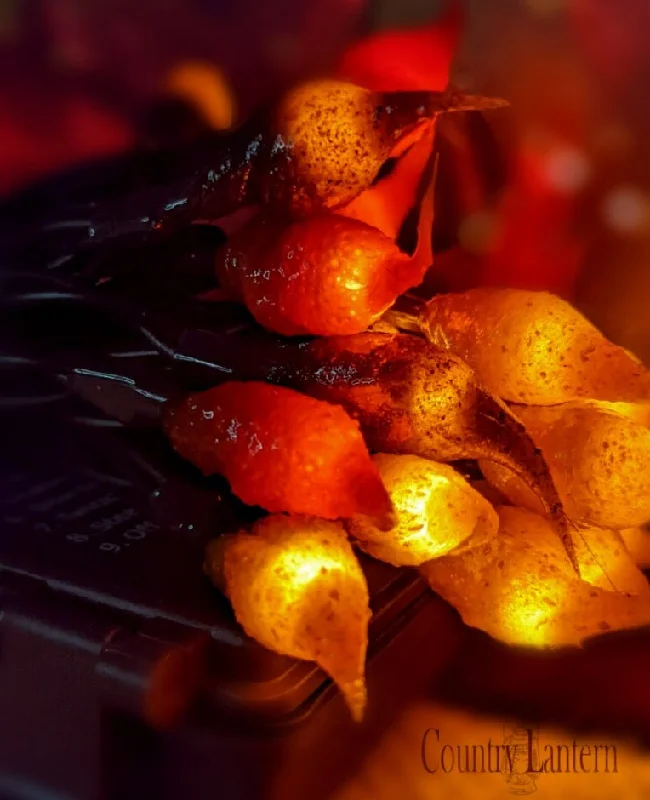 Fall Leaves