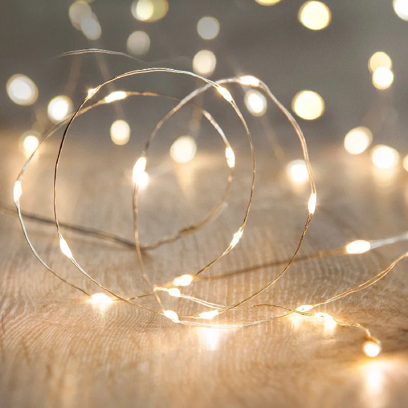 String Lights with Multicolored Bulbs for Festive Occasions20 Warm White LED Micro Battery Fairy Lights