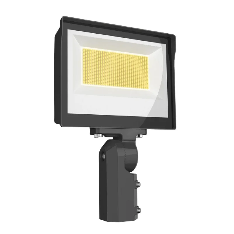Color - Tunable Industrial Lighting for Special ApplicationsRAB X17 Flood Light, 2-Way Field-Adjustable, Slipfitter Mount Color - Tunable Industrial Lighting for Special ApplicationsRAB X17 Flood Light, 2-Way Field-Adjustable, Slipfitter Mount