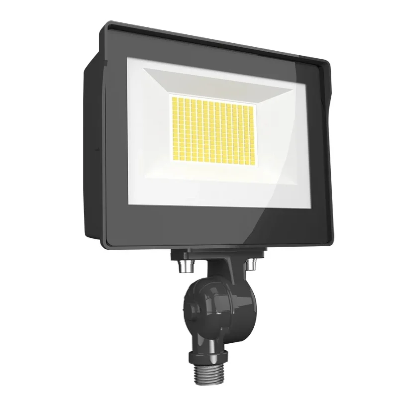 Explosion - Proof Industrial Lighting for Hazardous LocationsRAB X17 Flood Light, 2-Way Field-Adjustable, Knuckle Mount Explosion - Proof Industrial Lighting for Hazardous LocationsRAB X17 Flood Light, 2-Way Field-Adjustable, Knuckle Mount