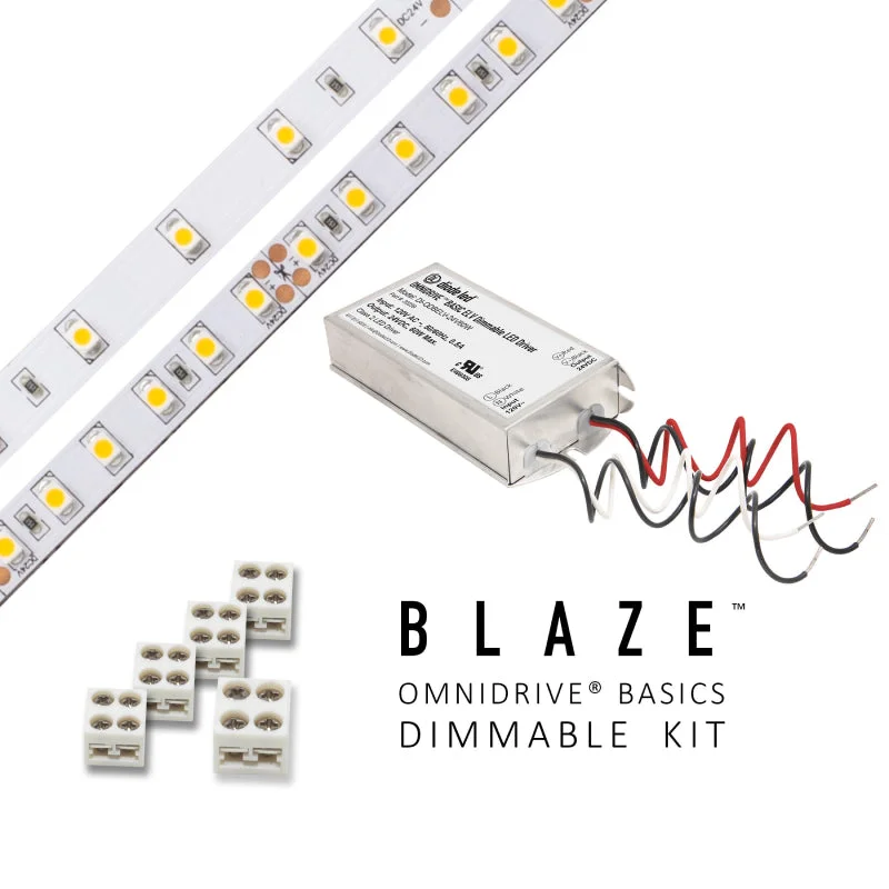 Industrial Lighting for Automotive Manufacturing PlantsBlaze 12V LED Tape Light Kits, OMNIDRIVE BASICS Power Supply, 100lm Industrial Lighting for Automotive Manufacturing PlantsBlaze 12V LED Tape Light Kits, OMNIDRIVE BASICS Power Supply, 100lm