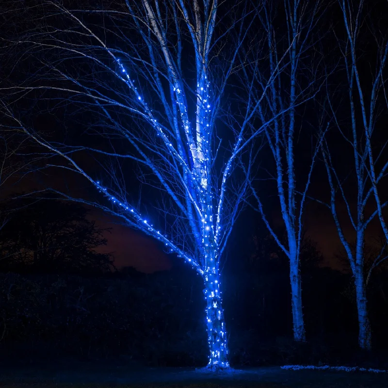 String Lights with Multicolored Bulbs for Festive OccasionsPro Connect 50m 500 Blue Connectable String Lights Black Cable String Lights with Multicolored Bulbs for Festive OccasionsPro Connect 50m 500 Blue Connectable String Lights Black Cable