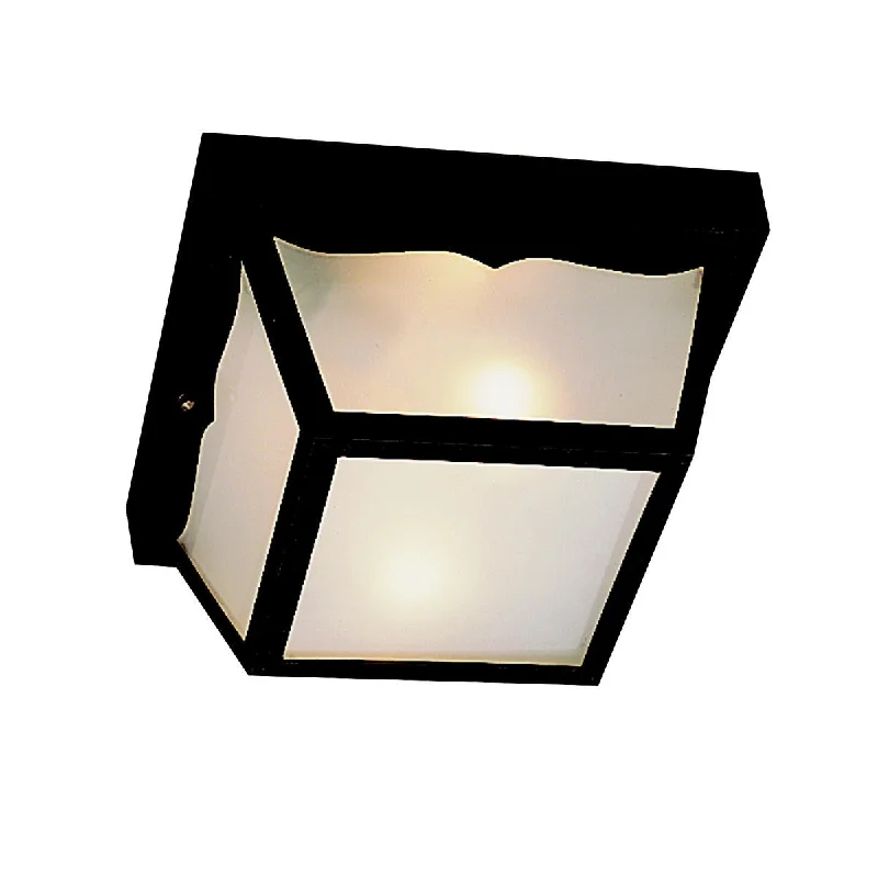 Outdoor Ceiling 1Lt - 9320BK