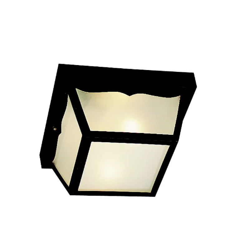 Outdoor Ceiling 2Lt - 9322BK