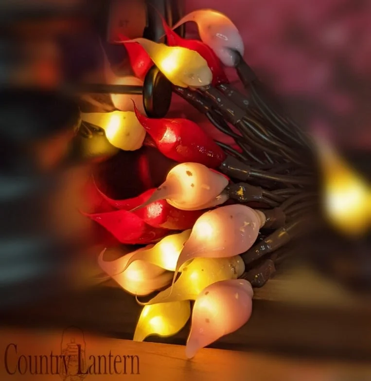 Country Love