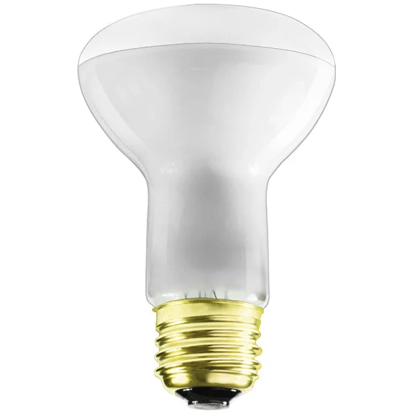 String Lights for DIY Home Decor ProjectsGE R20 50W Fluorescent Light Bulb (2 Pack)