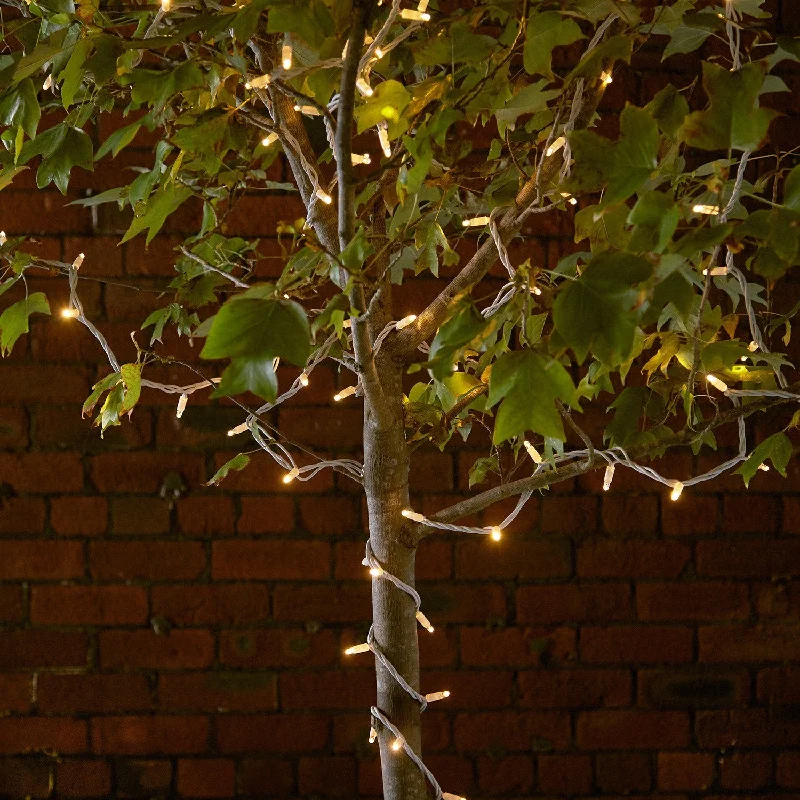 String Lights for Hotel Courtyard LightingPro Connect 5m 50 Traditional Warm White Connectable String Lights White Cable String Lights for Hotel Courtyard LightingPro Connect 5m 50 Traditional Warm White Connectable String Lights White Cable