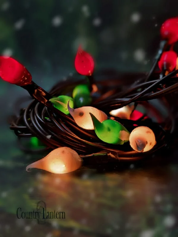 Poinsettia