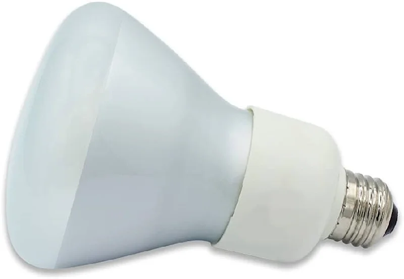 String Lights for Seasonal Decorations (Spring, Fall, etc.)120V 16W R30 Reflector Fluorescent Light Bulb - 750 Lumens String Lights for Seasonal Decorations (Spring, Fall, etc.)120V 16W R30 Reflector Fluorescent Light Bulb - 750 Lumens