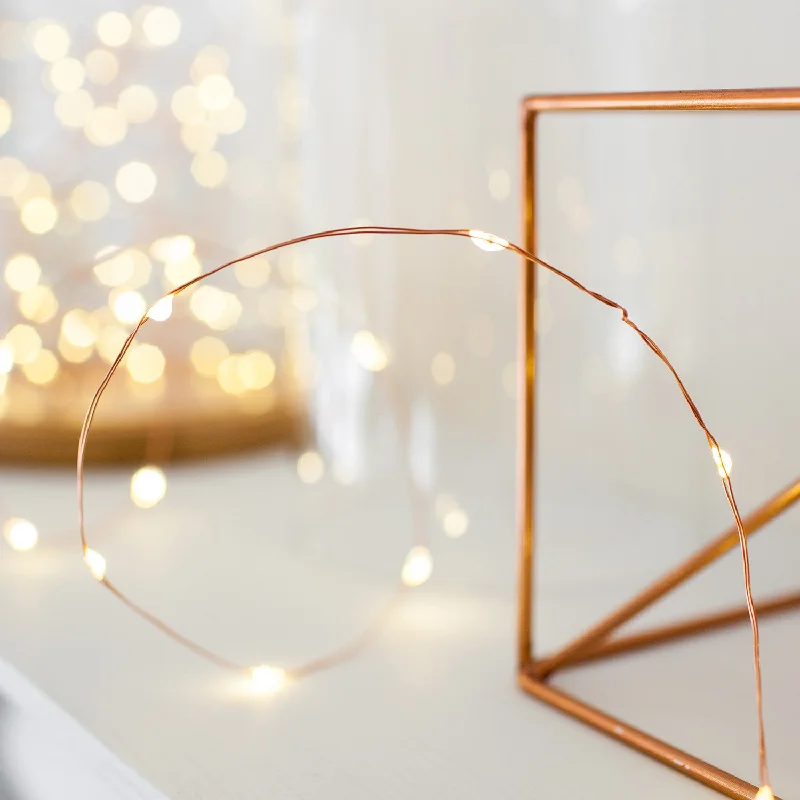 LED String Lights with Warm White Glow20 Warm White LED Copper Micro Fairy Lights