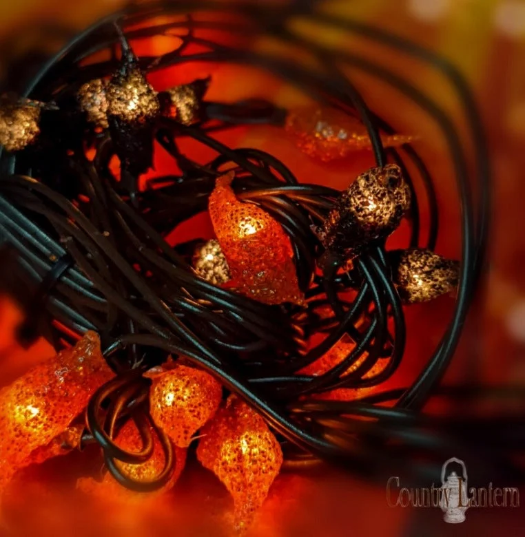 Jack-O-Lantern
