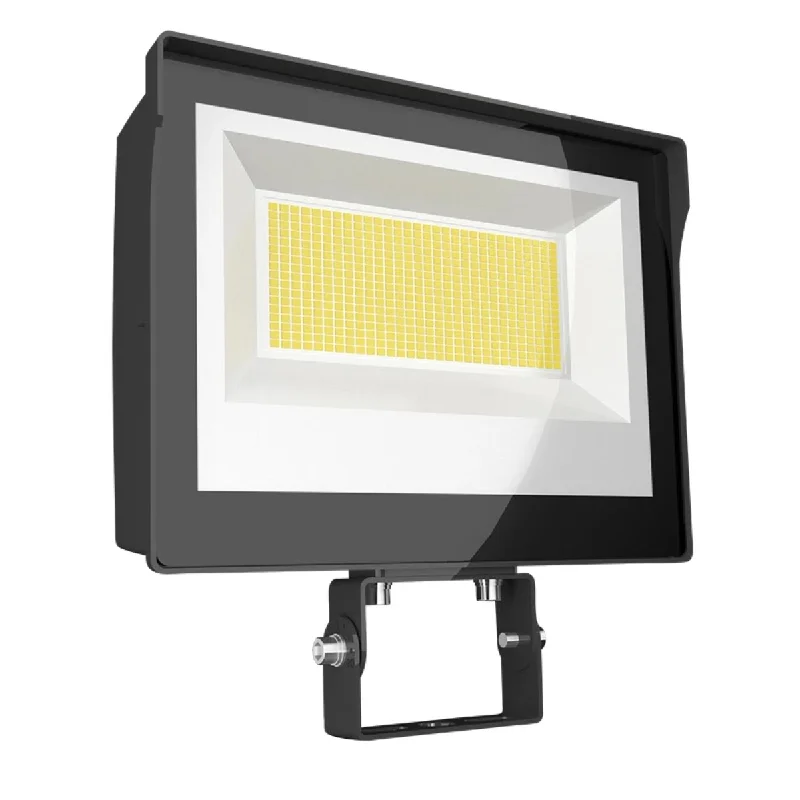 Industrial Lighting for Metal Fabrication ShopsRAB X17 Flood Light, 3-Way Field-Adjustable, Trunnion Mount Industrial Lighting for Metal Fabrication ShopsRAB X17 Flood Light, 3-Way Field-Adjustable, Trunnion Mount