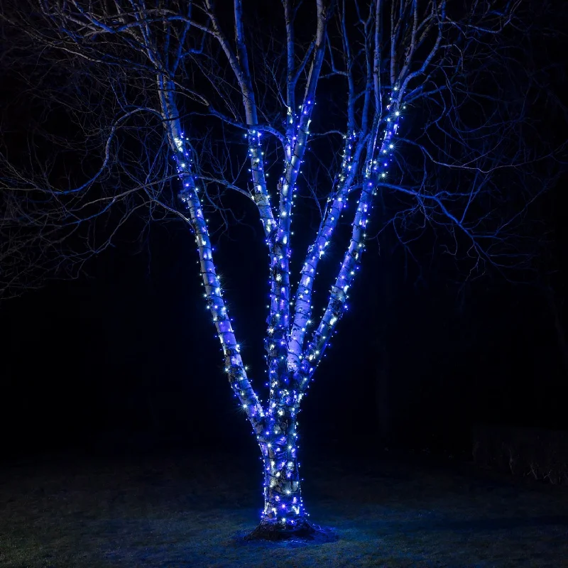 String Lights with Multicolored Bulbs for Festive OccasionsPro Connect 55m 550 Blue & White Connectable String Lights Black Cable String Lights with Multicolored Bulbs for Festive OccasionsPro Connect 55m 550 Blue & White Connectable String Lights Black Cable
