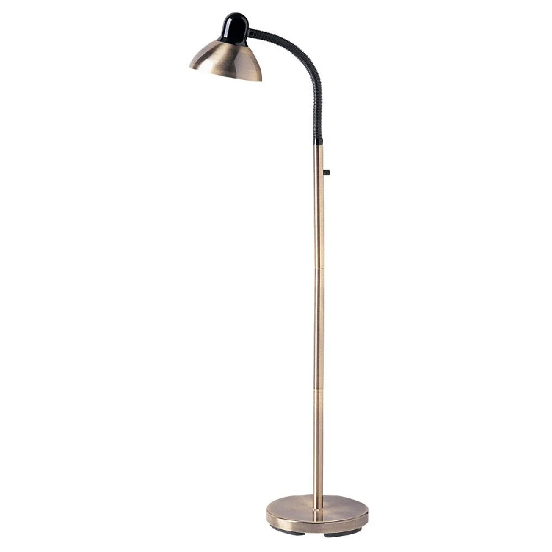 Rustic Farmhouse Style Floor Lamp for Cozy BedroomsDainolite Antique Brass Gooseneck Floor Lamp
