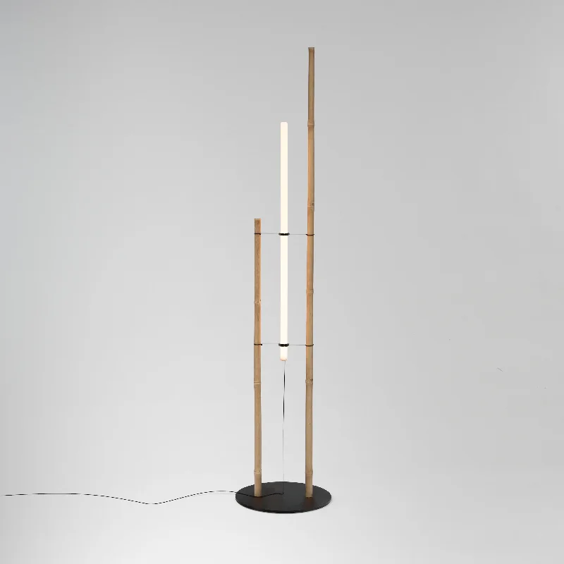 Adjustable Height Floor Lamp for Versatile Lighting NeedsMichael Anastassiades TA-KE Floor Lamp Adjustable Height Floor Lamp for Versatile Lighting NeedsMichael Anastassiades TA-KE Floor Lamp