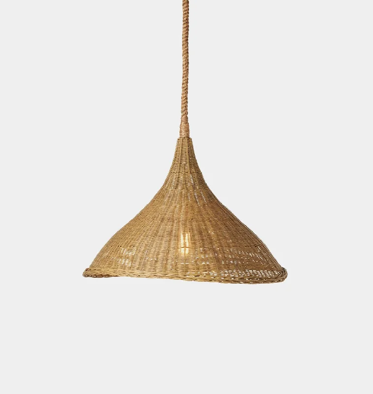Art Nouveau Ceiling Lights with Organic, Flowing ShapesWilder Outdoor Pendant